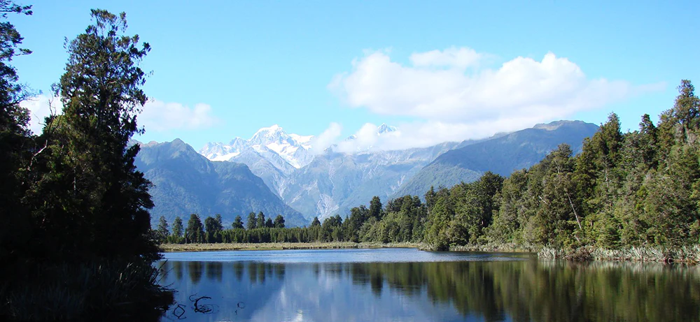 Authentic Kiwi Treasures Delivered Worldwide